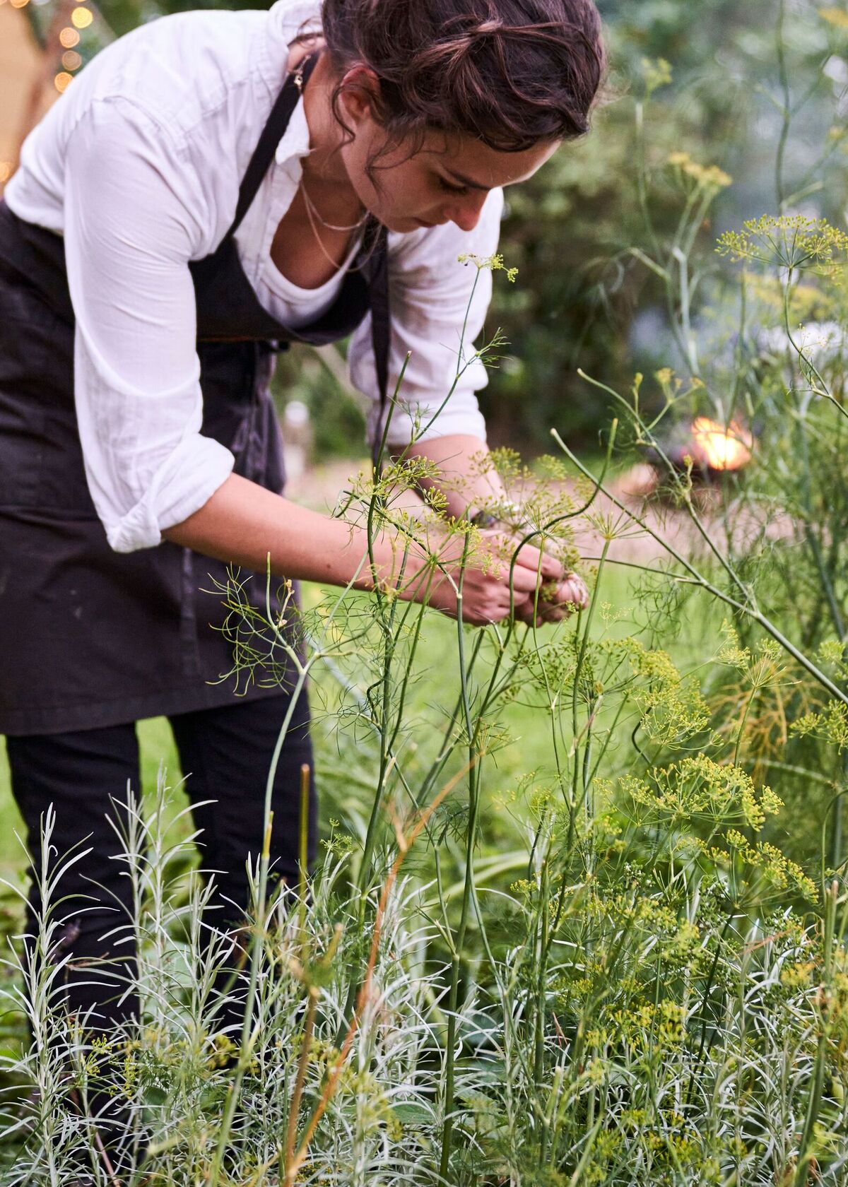 high-grange-neil-white 8.jpeg