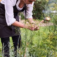 high-grange-neil-white 8.jpeg