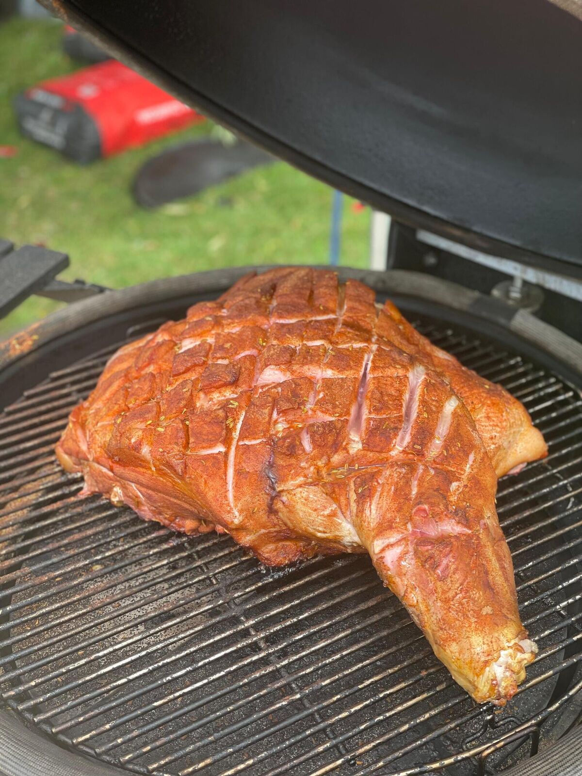 WhatsApp Image 2025-11-14 at 08.48.05.jpeg