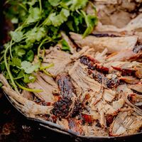 WhatsApp Image 2026-01-09 at 11.17.42 (1).jpeg